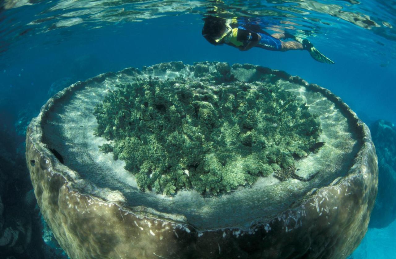 Отель Sal Salis Ningaloo Reef Эксмут Экстерьер фото